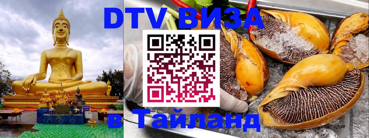 Цены на DTV визу в Таиланд — пакеты услуг, достаточно даже паспорта - Воронеж  07.12.2025 